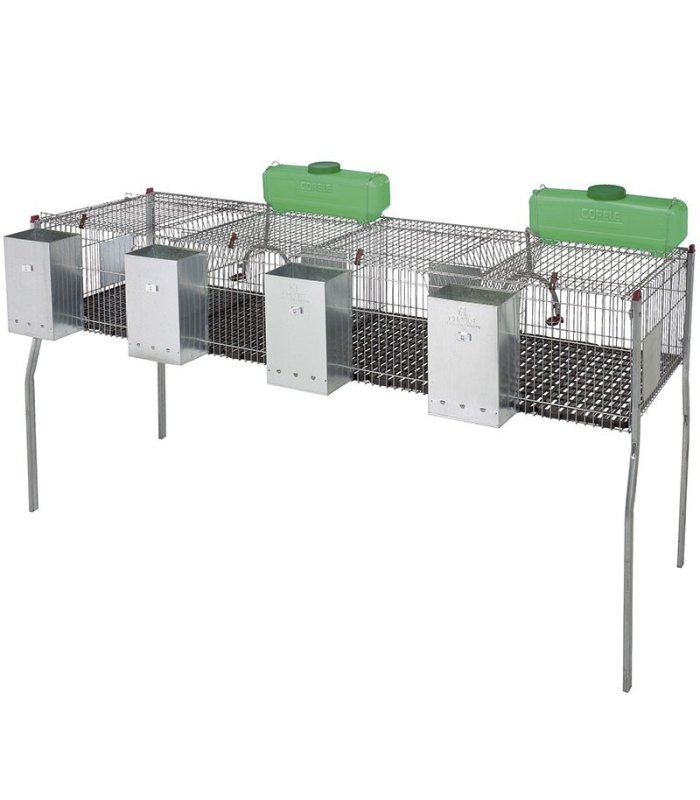 10954 jaula conejos penta 4 dptplas