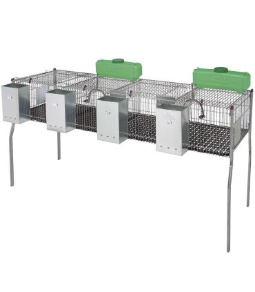10954 jaula conejos penta 4 dptplas