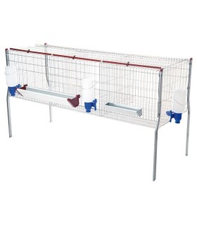 30336 jaula pollos engorde 3 dpt cp