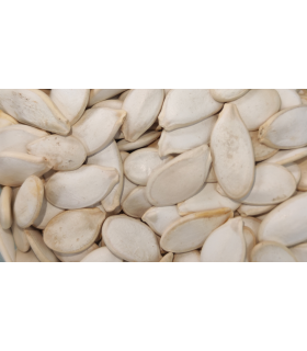 pipas calabaza 25 kg