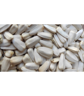 pipas blancas albinas 1 kg