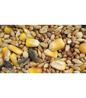 peguer mixtpalomas n2 con maiz bolsa 4 kg