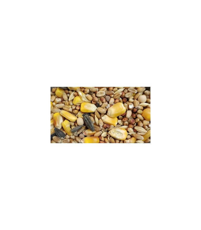 peguer mixtpalomas n2 con maiz bolsa 4 kg