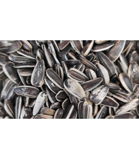 pipas hungaras iregui bolsa 600 gr