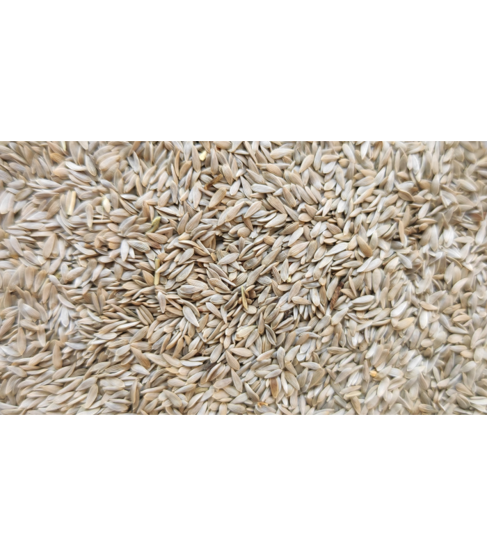 lechuga blanca bolsa 3 kg