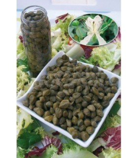 m 4185 semilla de alcaparra