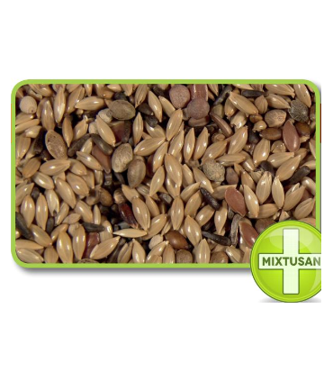 canarios kiki pro euro snabina 20 kg 351