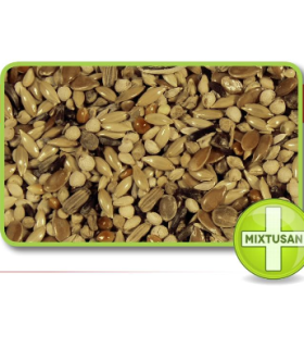 silvestres supreme kiki 20 kg 354